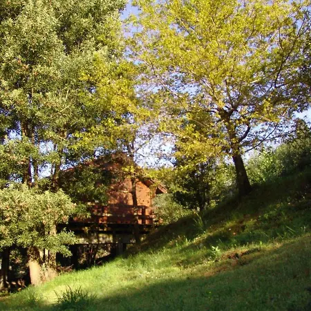 Stunning Rustic House River View *